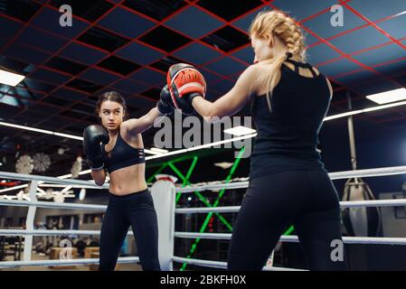 Zwei Frauen Boxen im Ring, Box-Training Stockfoto