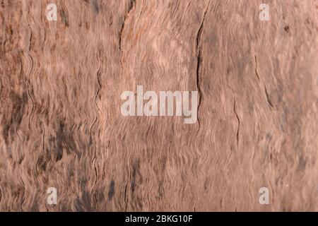Vintage Holz Hintergrund Textur. Natürliche braune Scheune Stockfoto