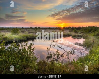 Sonnenaufgang über dem Fochteloerveen Sumpf Naturreservat in Drenthe, Niederlande Stockfoto