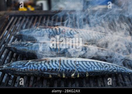 Roher Fisch auf dem Grill, Kochen oder während des Street Food Festivals oder Fischmarkt zubereitet werden. Einfaches Forellenrezept, ohne Kräuter und Gewürze gekocht. Frisches F Stockfoto