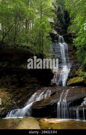 Empress Falls, Valley of the Waters, Blue Mountains, NSW, Australien Stockfoto