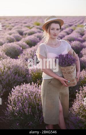 Junges Mädchen mit Weidenkorb mit Lavendel in den Händen in einem beigen Strohhut in den Lavendelfeldern Stockfoto