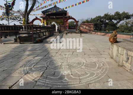 Affen, die in der Nähe des Tempels von Swayambhunath in Kathmandu auf Nepal spazieren Stockfoto