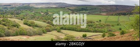 Blick über Long Clough in Richtung Shelf Stones, Moorfield, Shawmoor und Bray Clough Ende April, Glossop, Peak District, England Stockfoto