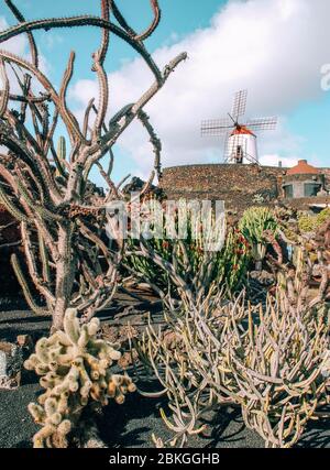 Jardín de Cactus von César Manrique in Tahíche, Lanzarote Stockfoto