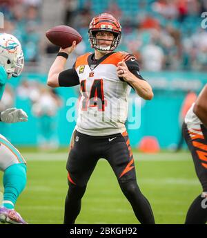 Miami Gardens, Florida, USA. Mai 2020. Cincinnati Bengals Quarterback Andy Dalton (14) setzt sich im vierten Viertel eines NFL-Fußballspiels gegen die Miami Dolphins im Hard Rock Stadium in Miami Gardens, Florida, an den Ball. Die Delfine gewannen 38-35. (Bild: © Mario Houben/Z Stockfoto