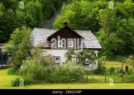 Typisches österreichisches Alpenhaus mit hellen Blumen, Hallstatt, Österreich, Europa Stockfoto