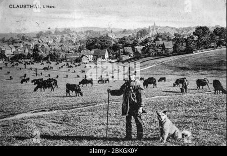 Historische Postkarte eines Schäfers mit seinem Hund, Clausthal, Harz, Deutschland Stockfoto