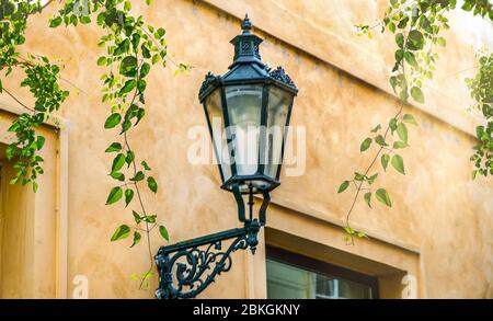 Alte Straßenlaterne an der Wand, umgeben von Ästen mit grünen Blättern Stockfoto