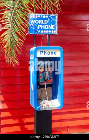 Blue World Payphone, roter Hintergrund und Palmblatt. Aruba, Niederländische Antillen, Karibik Stockfoto