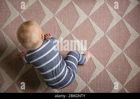 Blick von oben auf ein 7 Monate altes Baby, das zum ersten Mal zu kriechen versucht Stockfoto