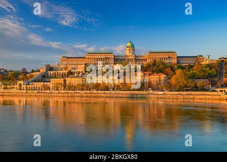 Budaer Burg spiegelt sich in der Donau, Budapest, Mittelungarn, Ungarn Stockfoto