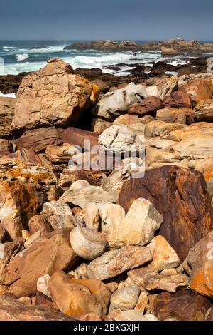Südafrika, Westkap, Plettenberg Bay, Robberg Nature Reserve, Cape Seal, felsige Küste mit Wellen, die in hinter Stockfoto