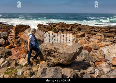 Südafrika, Westkap, Plettenberg Bay, Robberg Nature Reserve, Cape Seal, Senior Tourist bewundern felsige Küste mit Wellen in hinter Stockfoto