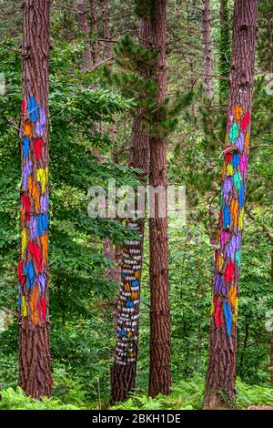 Bosque Pintado in Durangaldea, Spanien Stockfoto