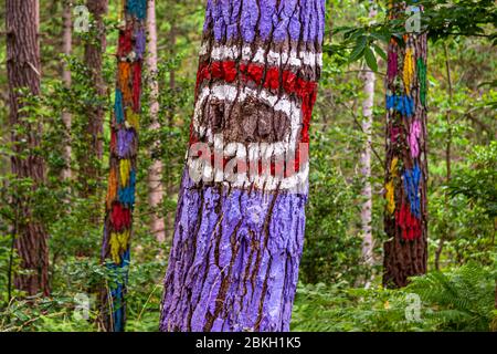 Bosque Pintado in Durangaldea, Spanien Stockfoto