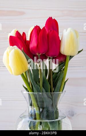 Bouquet von roten und gelben Tulpen in Glasvase auf weißem Holzbrett Hintergrund. Weihnachtsgeschenk. Bunte Blumen. Stillleben Stockfoto