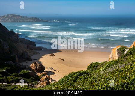 Südafrika, Westkap, Plettenberg Bay, Robberg Nature Reserve, The Gap, Seevögel an kleinen einsamen Strand an der Nordküste Stockfoto