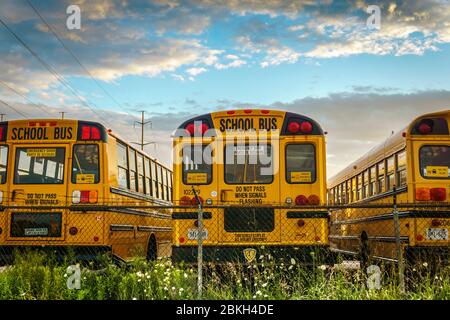 Toronto, Kanada, Aug 2015 - Schulbusse in Reihen auf einem eingezäunten Parkplatz während der Sommerferien Stockfoto