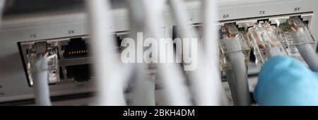 Netzwerkkabel, die mit Switches verbunden sind Stockfoto