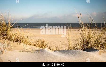 Panorama auf einem eisigen Strand Stockfoto