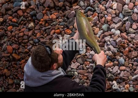 Fischer, der eine große Forelle hält, die er aus dem Lake Superior im Tettegouche State Park an der Nordküste von Minnesota, USA herausholte {Keine Modellfreigabe; Stockfoto