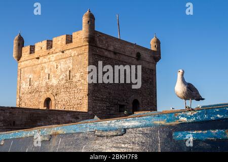 Turm der historischen Festung der Stadt. Holzboot im Vordergrund mit einer Möwe auf der steht. Strahlend blauer Himmel. Essaouira, Marokko. Stockfoto