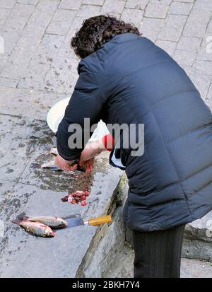 Fischhändler Reinigung Fisch am Fischmarkt Stand auf der Straße in China Stockfoto
