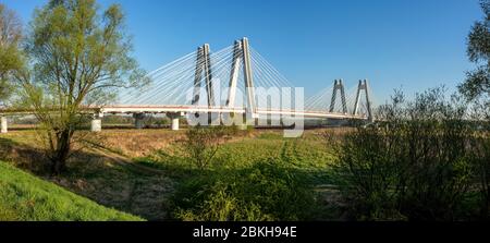 Moderne Doppelbrücke mit Kabelstegbrücke über die Weichsel in Krakau, Polen. Breites Panorama bei Sonnenaufgang mit Bäumen Stockfoto