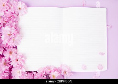 Draufsicht offenes Notizbuch mit schönen Sakura Blumen auf rosa Hintergrund Stockfoto