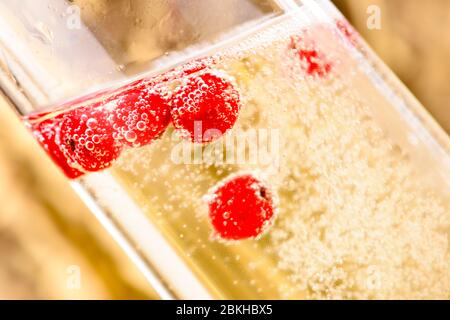 Rote Früchte in Sekt Stockfoto
