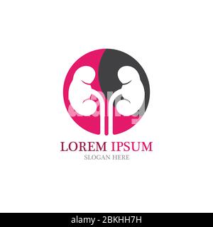 Niere Vektor illusrtation Design logo Vorlage Stock Vektor