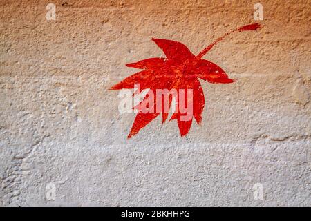 Ahornblatt auf Beton in brillanter roter Herbstfarbe lackiert. Stockfoto