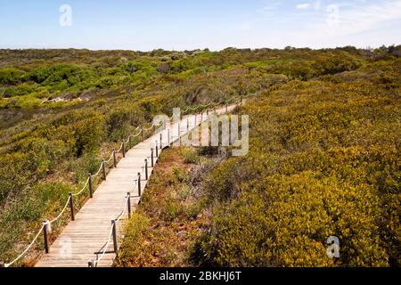 Fischerroute im Alentejo, Promenade mit Klippen in Portugal. Holzweg entlang der Küste. Stockfoto