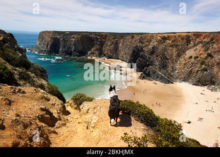 Fischerroute im Alentejo, Promenade mit Klippen in Portugal. Holzweg entlang der Küste. Stockfoto