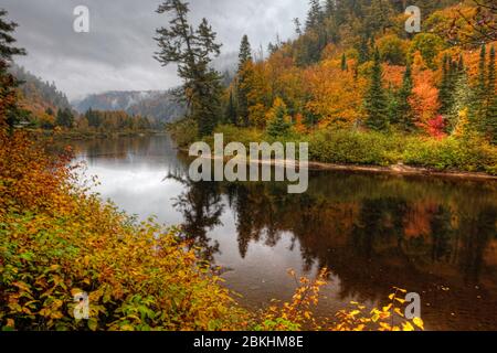 Die Farben des Herbstes im Agawa Canyon, Kanada Stockfoto