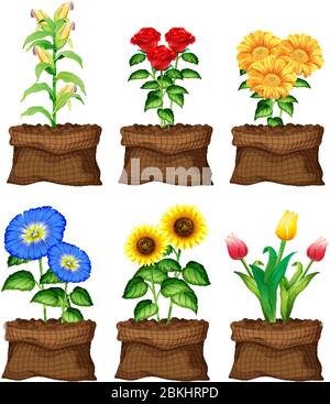 Schöne Blumen in braunen Taschen auf weißem Hintergrund Illustration Stock Vektor