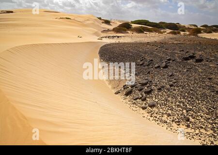 Dünen, die durch den Sand der Sahara und vulkanische Felsen in der Wüste Deserto de Viana auf der Insel Boa Vista, Kap Verde / Cabo Verde gebildet werden Stockfoto
