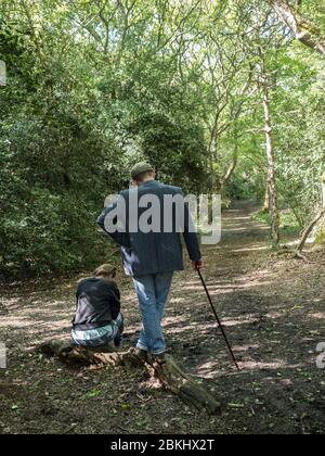 Zwei Wanderer ruhen an der Kreuzung, einer sitzt auf einem Holzsteg, der andere lehnt sich an den Gehstock zurück zur Kamera mit Waldpfad vor Stockfoto