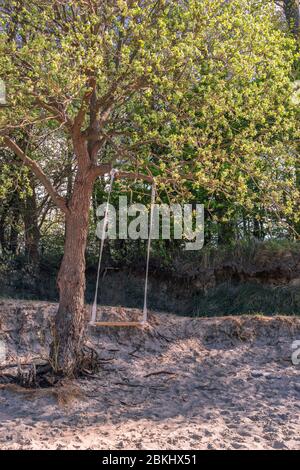 Schaukel an einem Baum Stockfoto