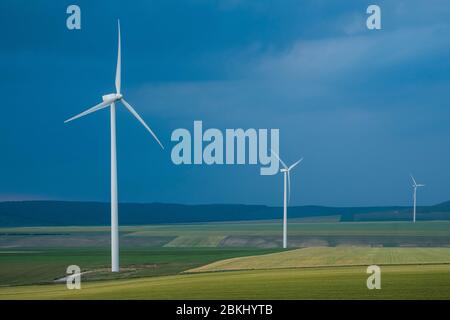 Rumänien, Judet de Tulcea, Sarichioi, Windkraftanlage in der rumänischen Landschaft Stockfoto