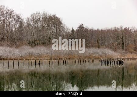 Frankreich, Savoie, vor Savoyard Land, Aiguebelette See Stockfoto