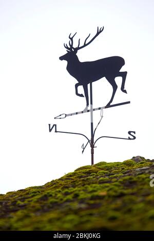 Frankreich, Indre et Loire, Vernou sur Brenne, Weathervane in la Vuitonnière, Jagdgebiet Stockfoto