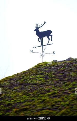 Frankreich, Indre et Loire, Vernou sur Brenne, Weathervane in la Vuitonnière, Jagdgebiet Stockfoto