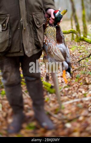 Frankreich, Indre et Loire, Vernou sur Brenne, Vuitonnière Jagdtag, Jagdgebiet Stockfoto