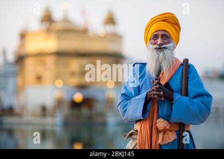 Indien, Punjab Staat, Amritsar, Harmandir Sahib, betend Porträt eines Sikh Mann mit einem durchdringenden Blick und Golden Temple im Hintergrund, heiliger Ort des Sikhismus Stockfoto
