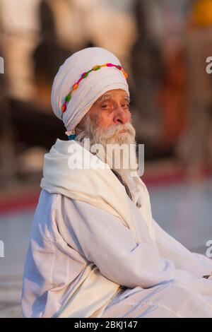 Indien, Punjab Staat, Amritsar, Harmandir Sahib, Portrait eines Sikh Mannes in der Meditation, heiliger Ort des Sikhismus Stockfoto
