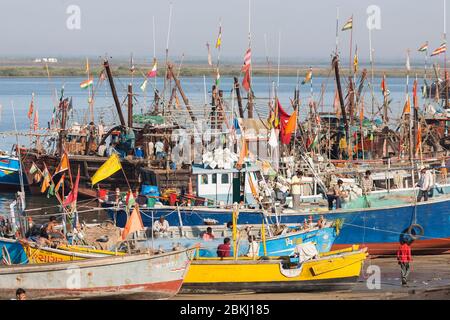 Indien, Daman und Diu Territory, Diu District, Vanakbara Hafen, traditionelle bunte Fischerboote aus Holz Stockfoto