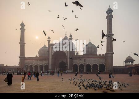 Indien, National Capital Territory von Delhi, Old Delhi, Esplanade und Fassade der Jama Masjid Moschee von Mogul-Kaiser Shah Jahan im Jahr 1656 gebaut Stockfoto