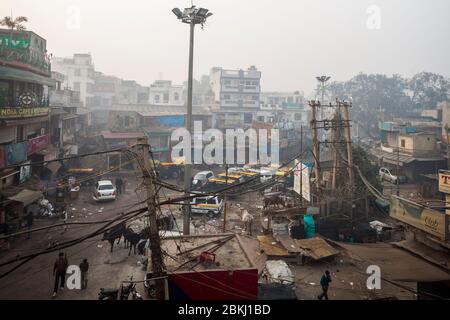 Indien, National Capital Territory von Delhi, Neu Delhi, Paharganj District, erhöhte Aussicht auf eine Kreuzung mit Passanten, Kühe, Fahrzeuge und Geschäfte überfüllt Stockfoto